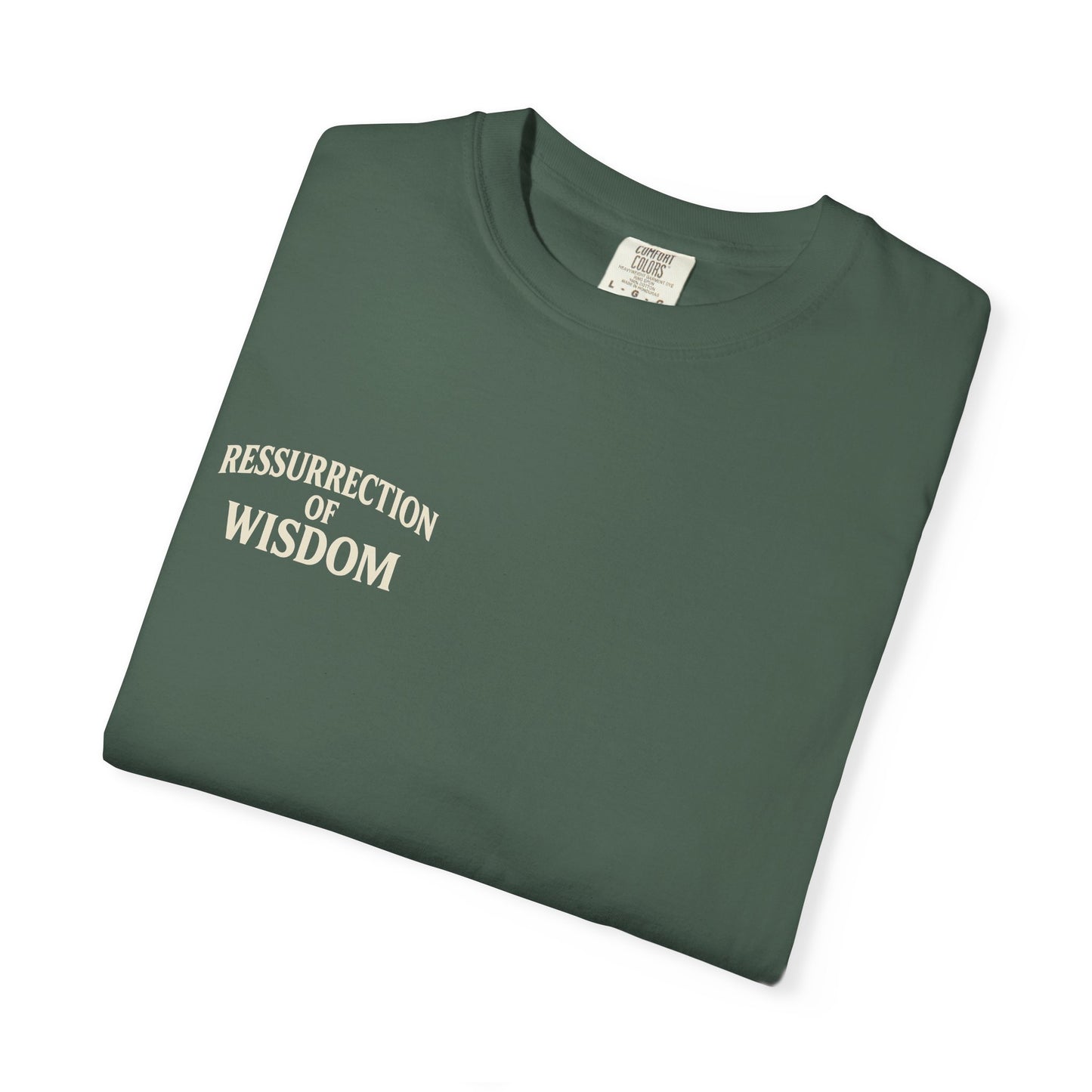 Unisex Garment-Dyed T-Shirt - Resurrection of Wisdom & Armor of God Design
