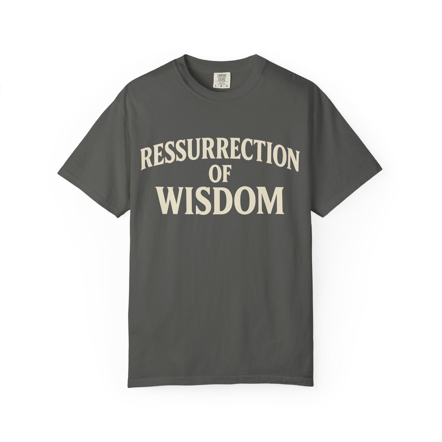 Unisex Garment-Dyed T-Shirt - 'Ressurrection of Wisdom' Casual Tee