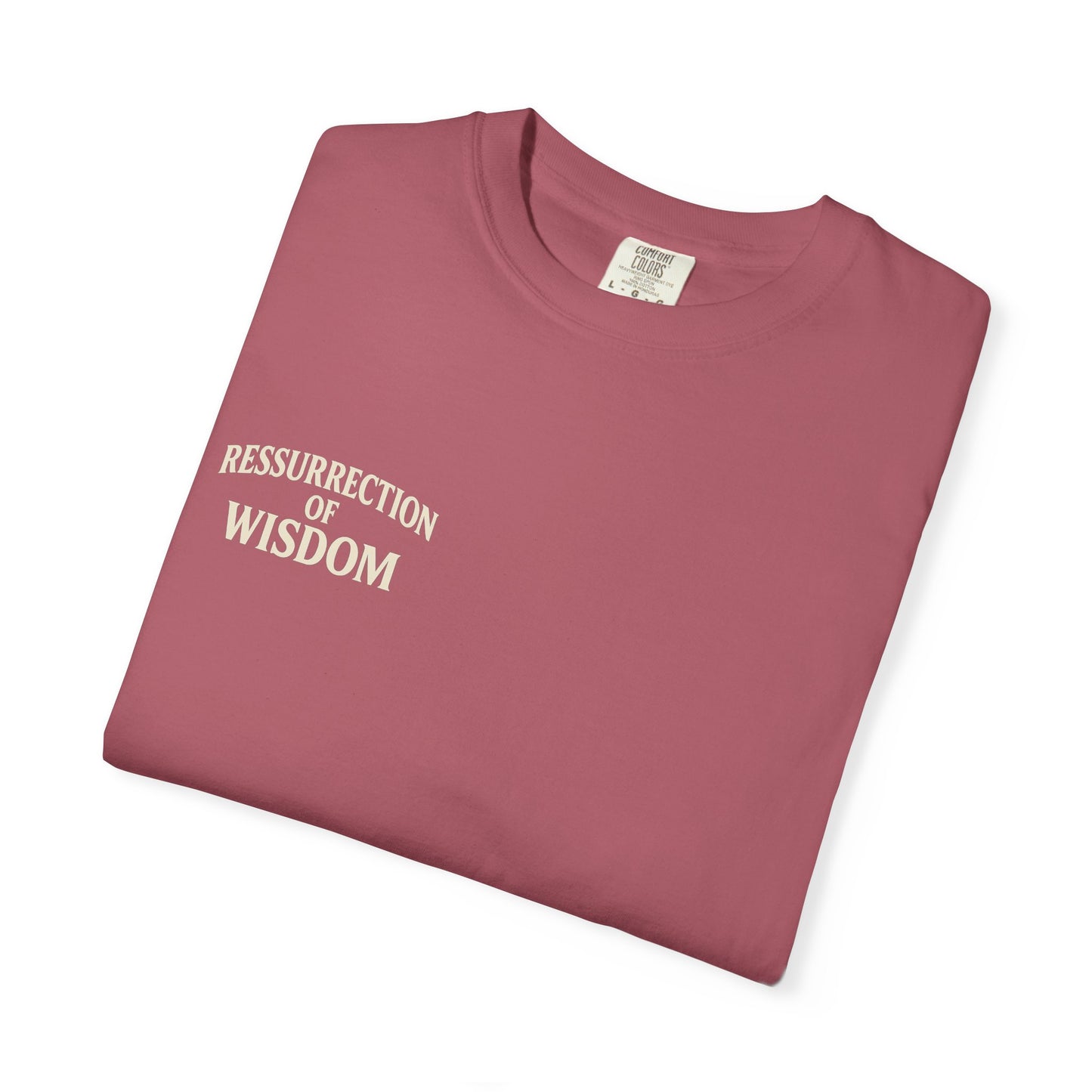 Unisex Garment-Dyed T-Shirt - Resurrection of Wisdom & Armor of God Design