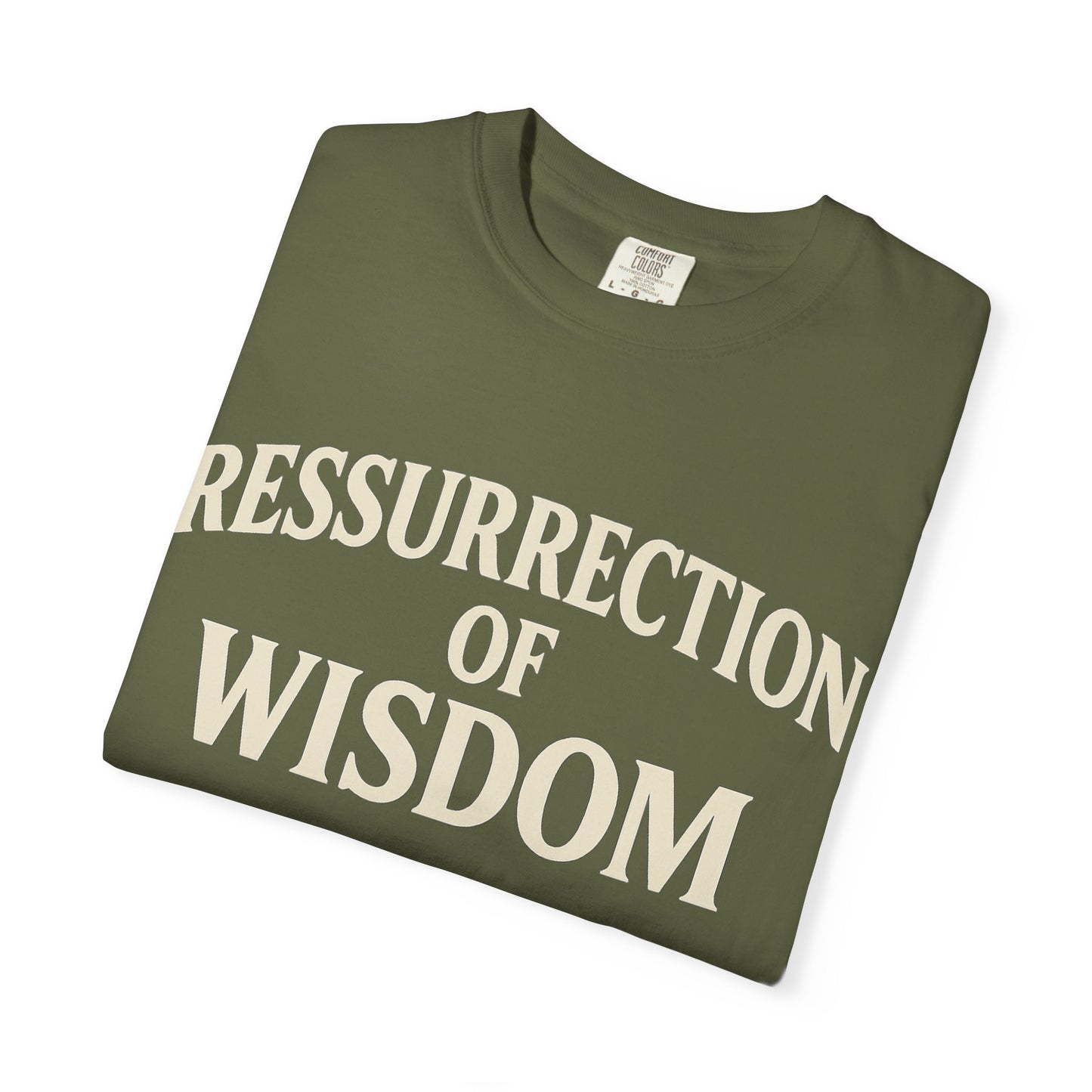 Unisex Garment-Dyed T-Shirt - 'Ressurrection of Wisdom' Casual Tee