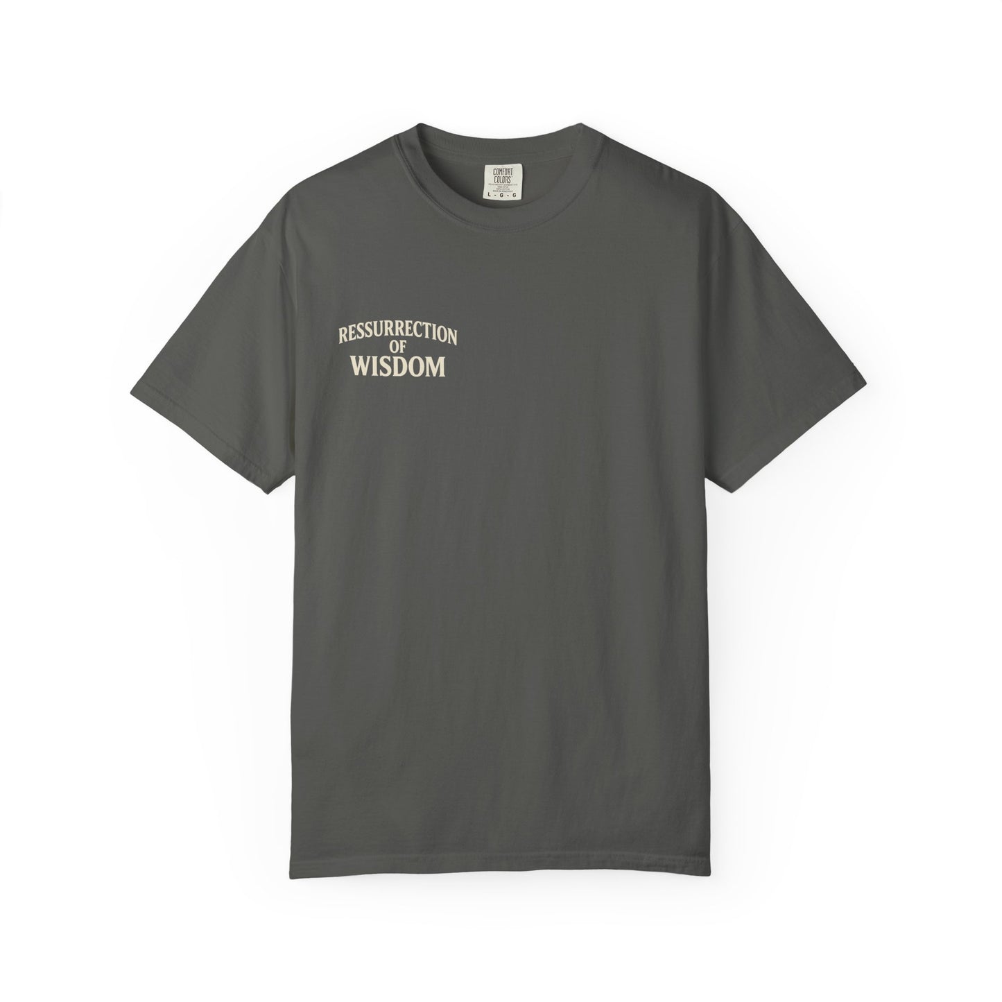 Unisex Garment-Dyed T-Shirt - ROW| Christ is My Firm Foundation