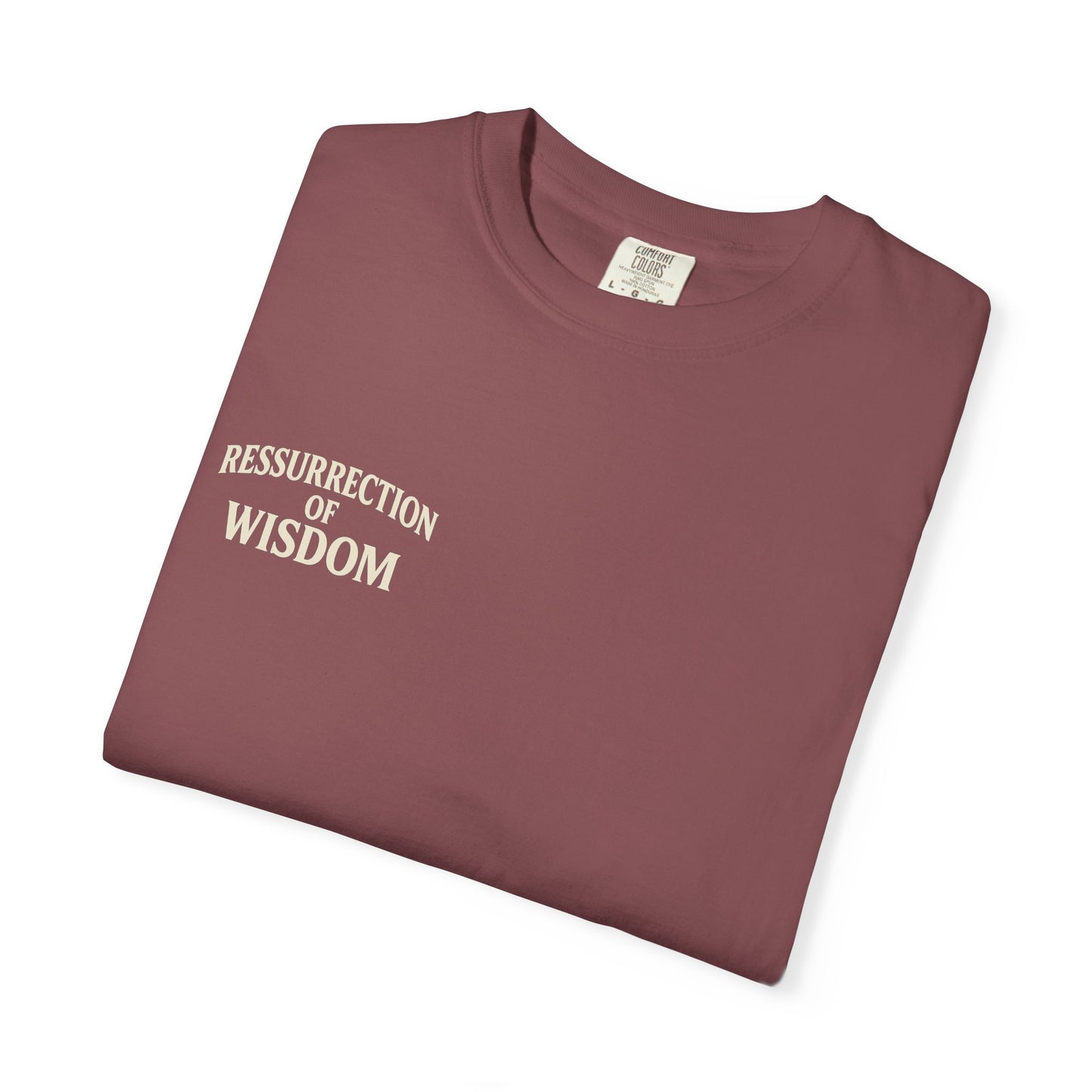 Unisex Garment-Dyed T-Shirt - Resurrection of Wisdom & Armor of God Design