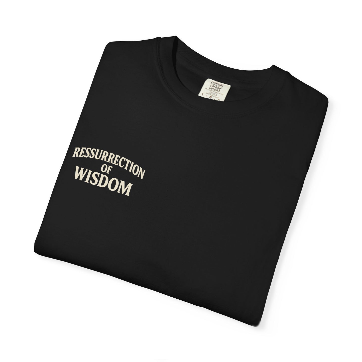 Unisex Garment-Dyed T-Shirt - Resurrection of Wisdom & Armor of God Design