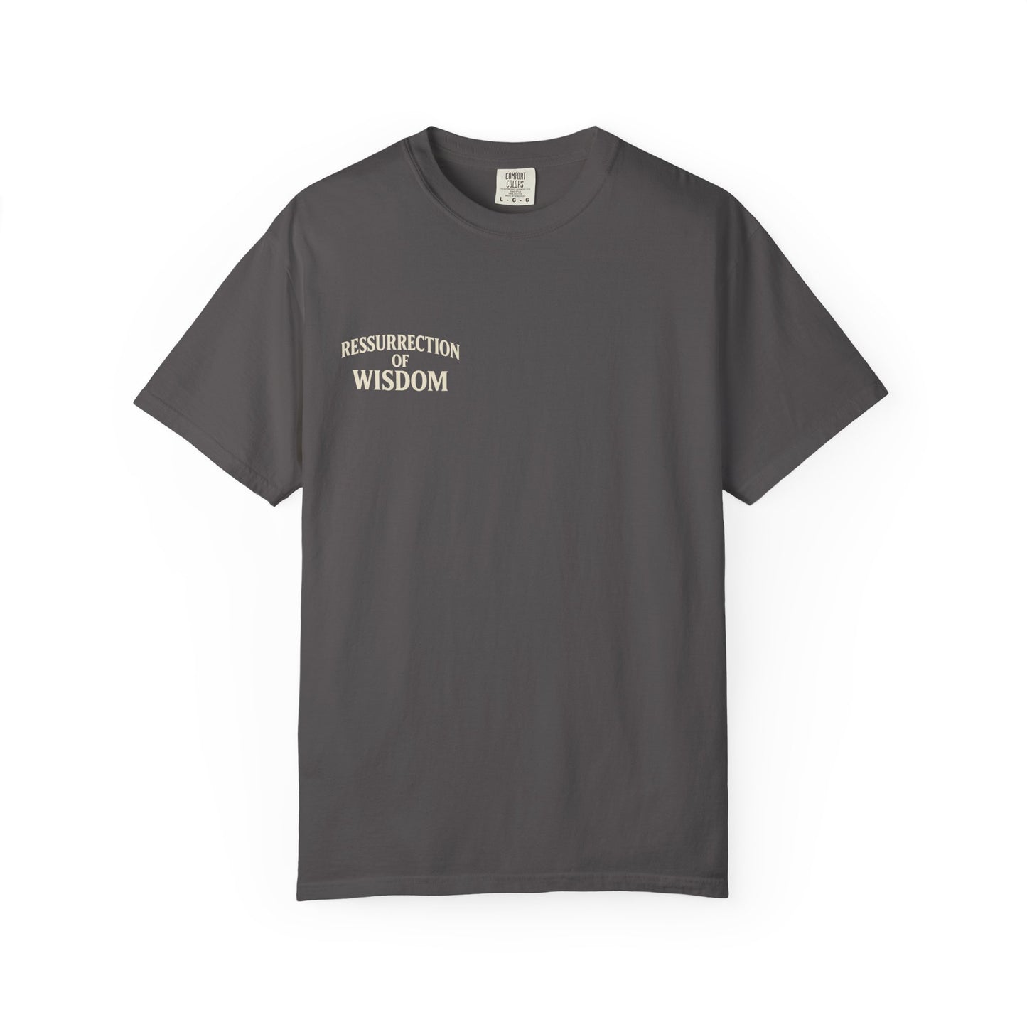 Unisex Garment-Dyed T-Shirt - Resurrection of Wisdom & Armor of God Design