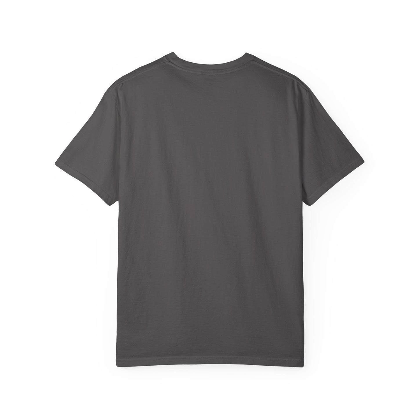 Unisex Garment-Dyed T-Shirt - 'Ressurrection of Wisdom' Casual Tee