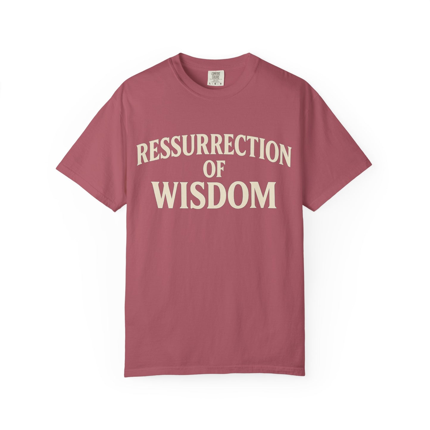 Unisex Garment-Dyed T-Shirt - 'Ressurrection of Wisdom' Casual Tee