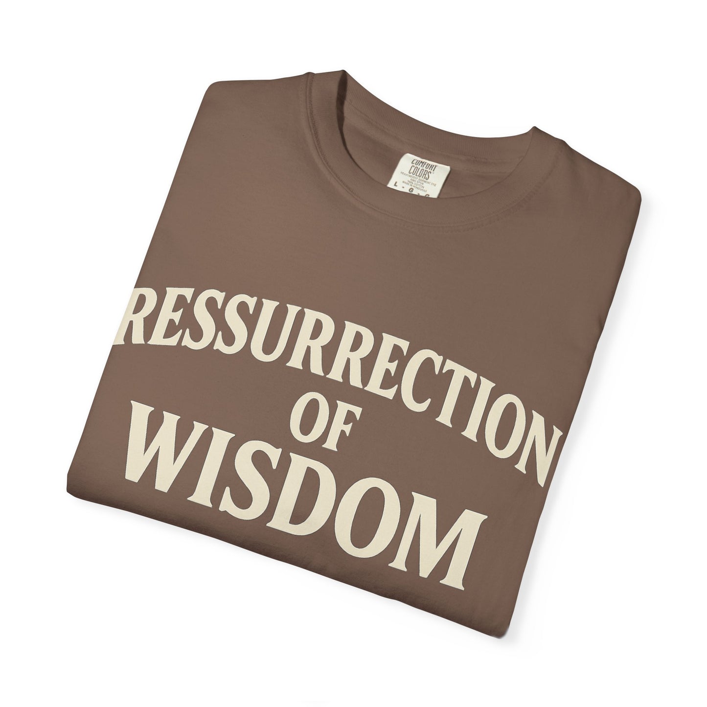 Unisex Garment-Dyed T-Shirt - 'Ressurrection of Wisdom' Casual Tee