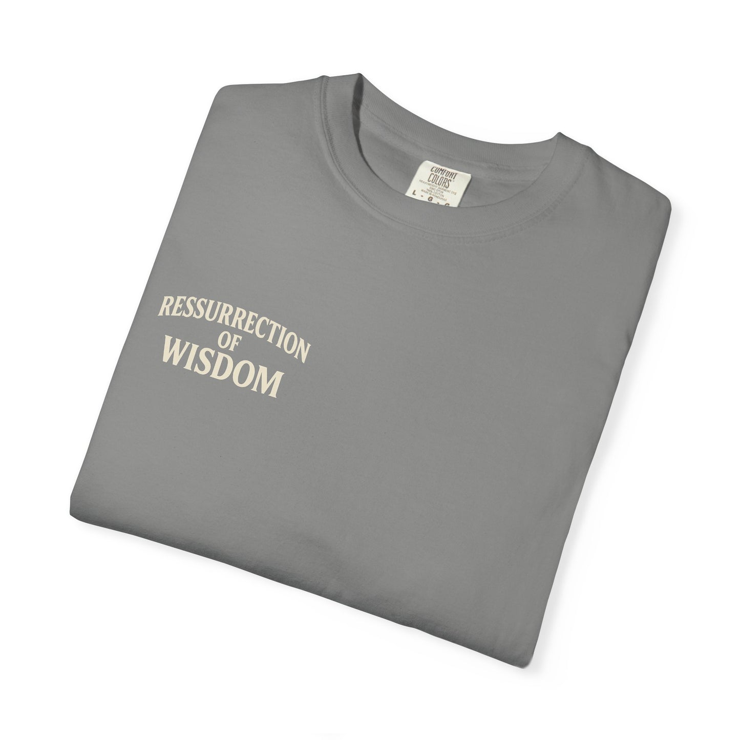 Unisex Garment-Dyed T-Shirt - ROW| Christ is My Firm Foundation