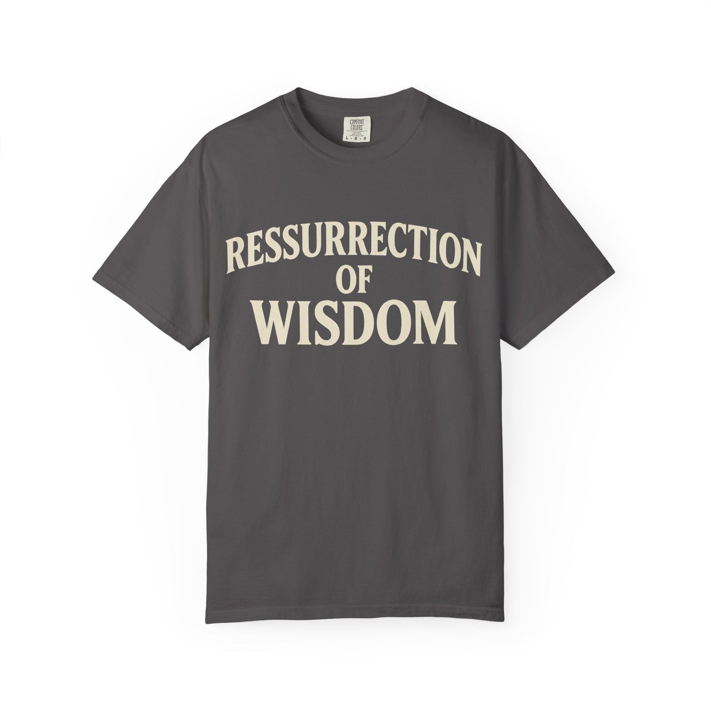 Unisex Garment-Dyed T-Shirt - 'Ressurrection of Wisdom' Casual Tee