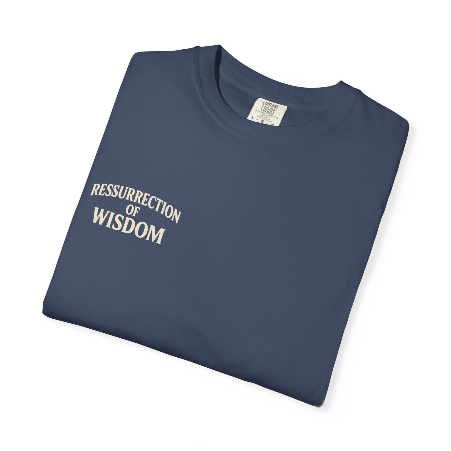 Unisex Garment-Dyed T-Shirt - Resurrection of Wisdom & Armor of God Design