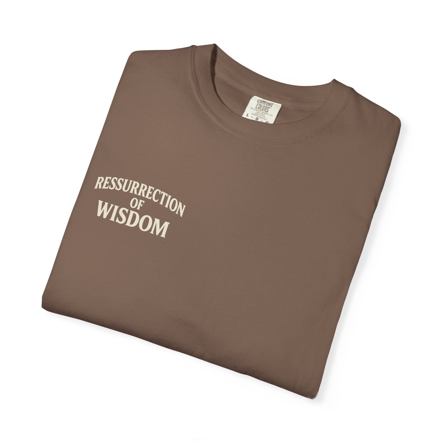 Unisex Garment-Dyed T-Shirt - ROW| Christ is My Firm Foundation