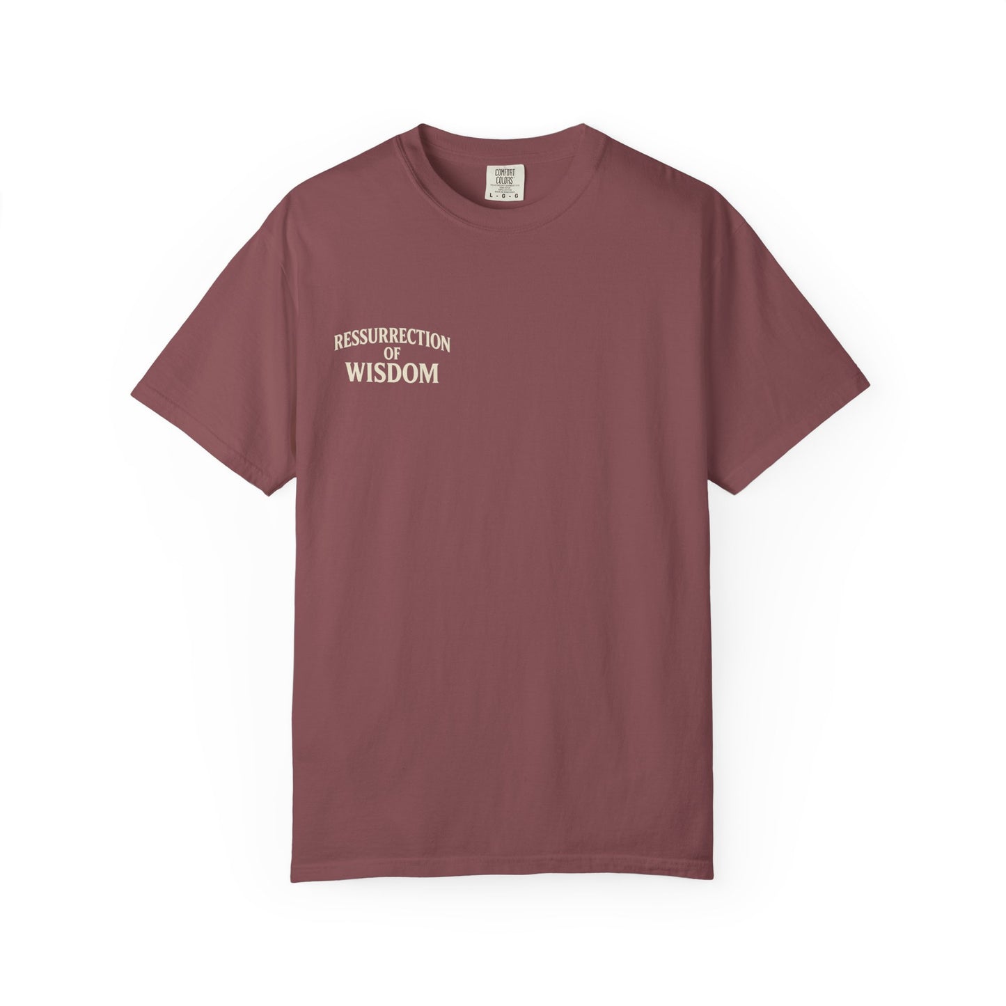 Unisex Garment-Dyed T-Shirt - Resurrection of Wisdom & Armor of God Design
