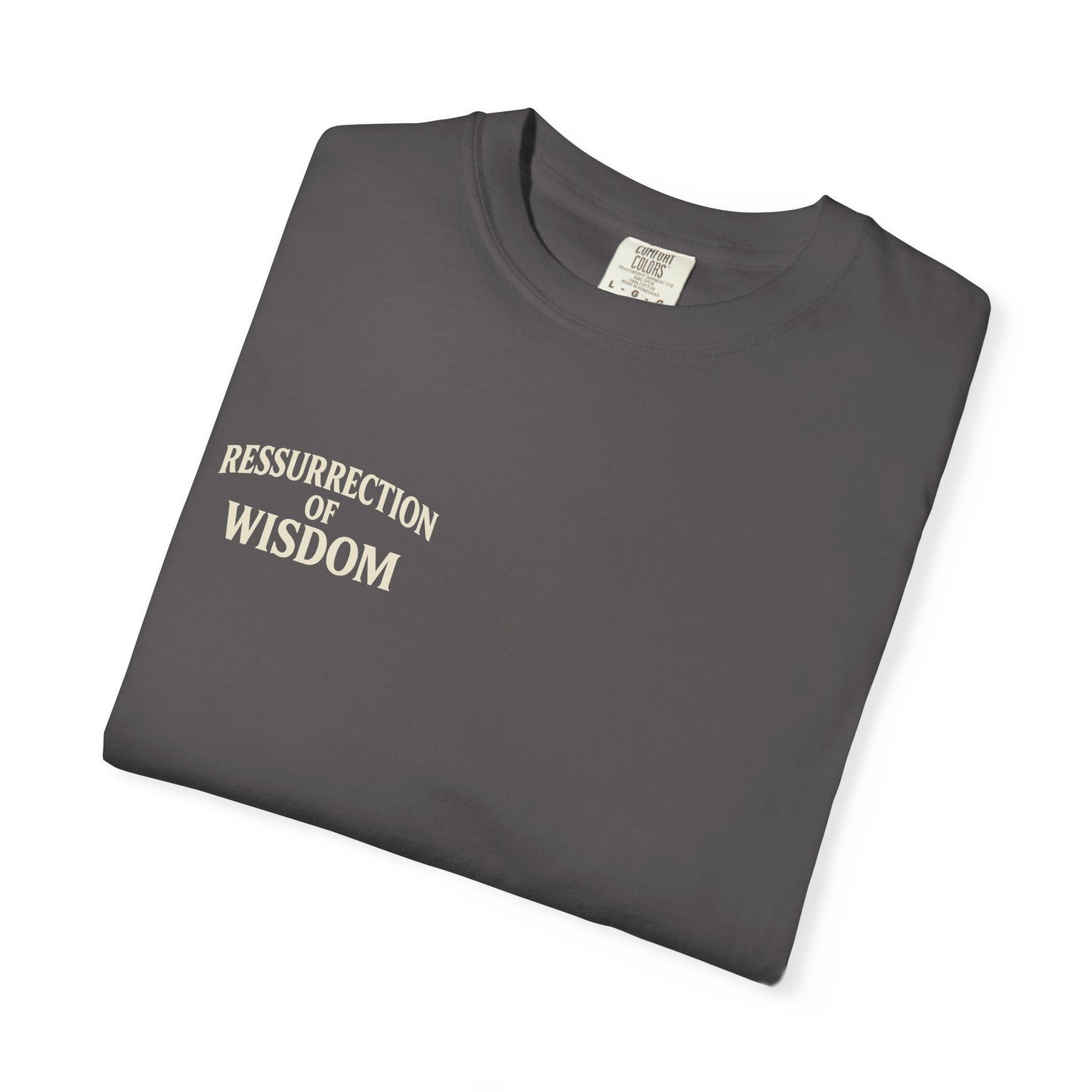 Unisex Garment-Dyed T-Shirt - Resurrection of Wisdom & Armor of God Design
