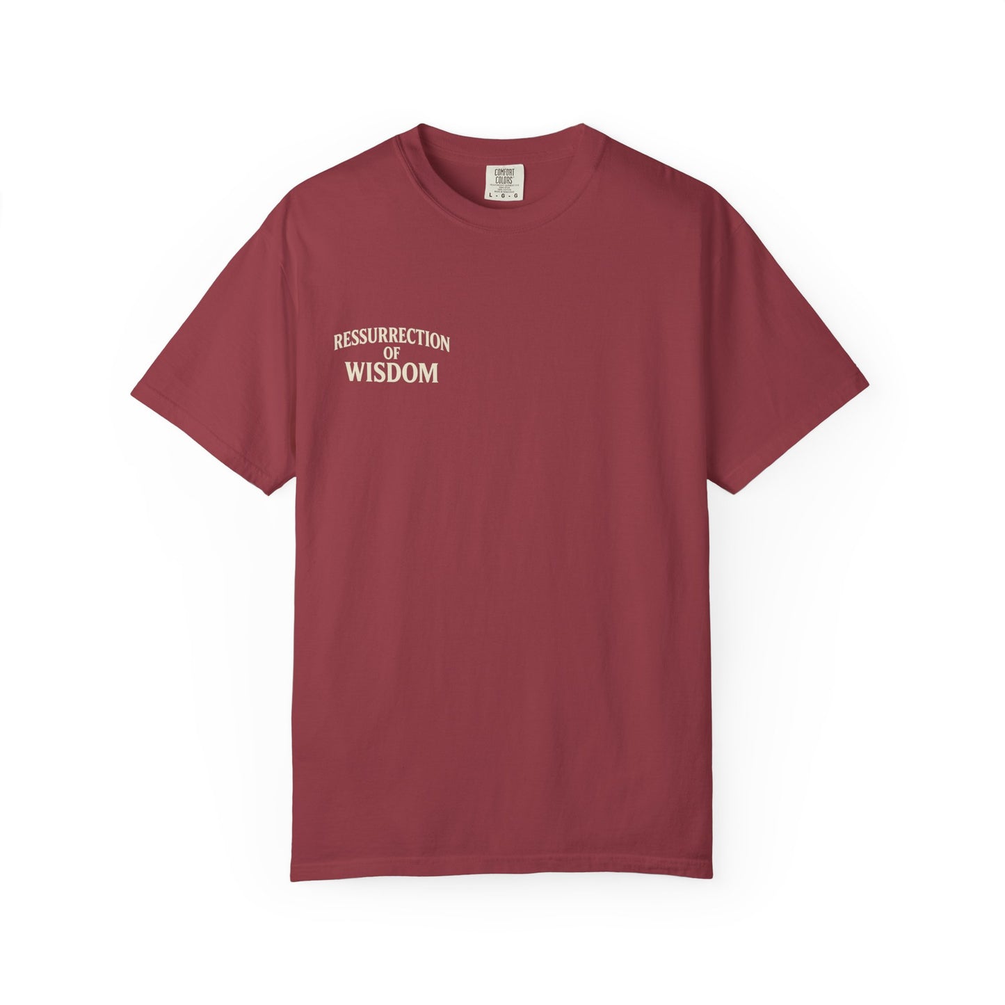 Unisex Garment-Dyed T-Shirt - Resurrection of Wisdom & Armor of God Design