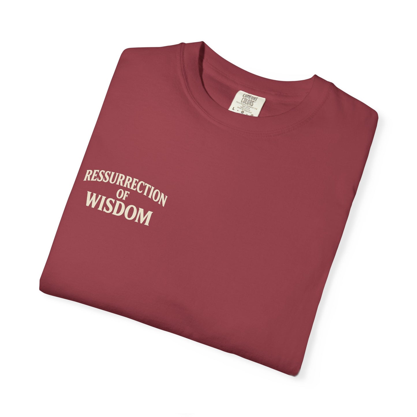 Unisex Garment-Dyed T-Shirt - Resurrection of Wisdom & Armor of God Design