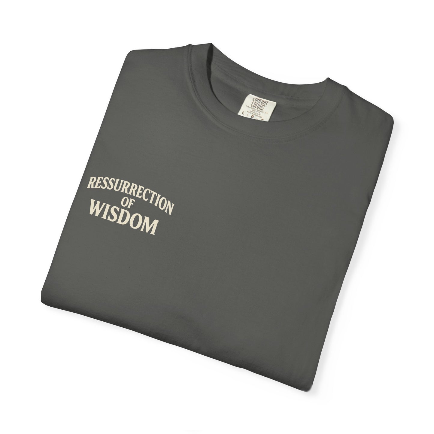 Unisex Garment-Dyed T-Shirt - Resurrection of Wisdom & Armor of God Design