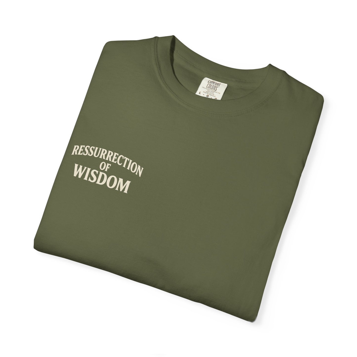 Unisex Garment-Dyed T-Shirt - Resurrection of Wisdom & Armor of God Design