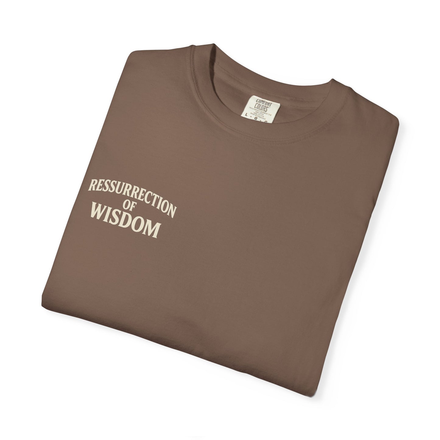 Unisex Garment-Dyed T-Shirt - Resurrection of Wisdom & Armor of God Design
