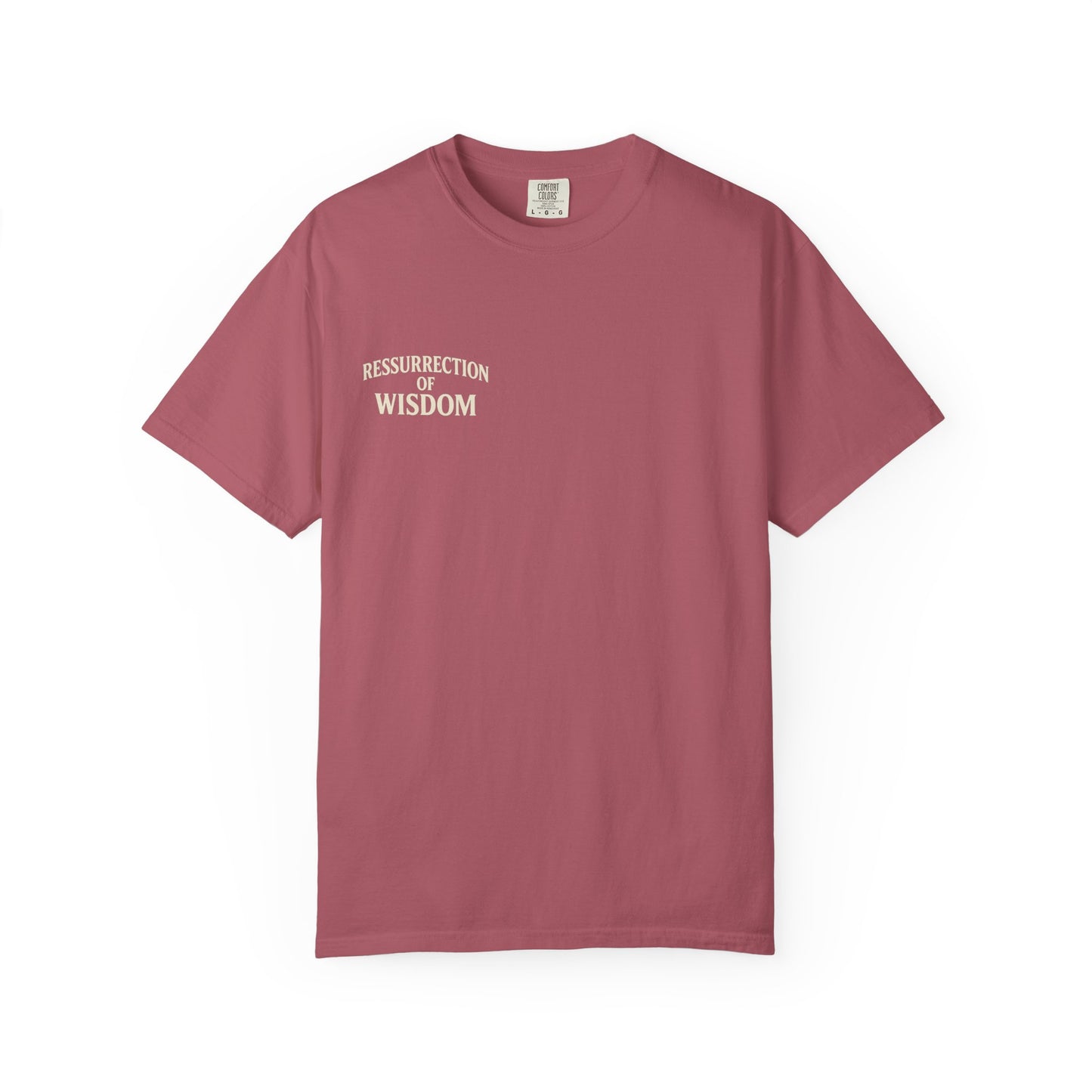 Unisex Garment-Dyed T-Shirt - Resurrection of Wisdom & Armor of God Design