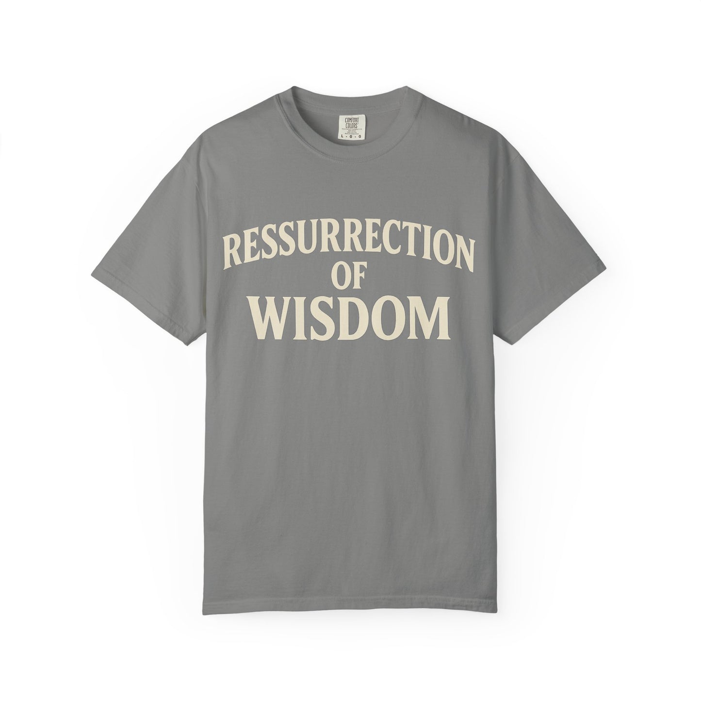 Unisex Garment-Dyed T-Shirt - 'Ressurrection of Wisdom' Casual Tee