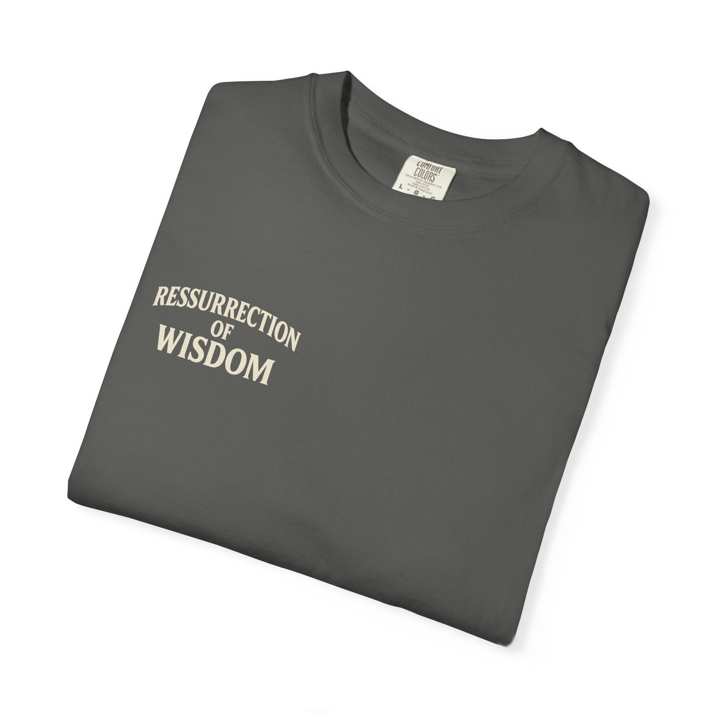 Unisex Garment-Dyed T-Shirt - ROW| Christ is My Firm Foundation