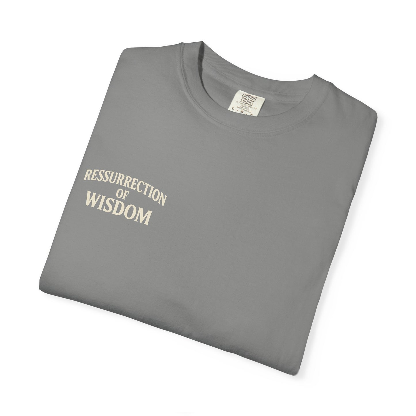 Unisex Garment-Dyed T-Shirt - Resurrection of Wisdom & Armor of God Design
