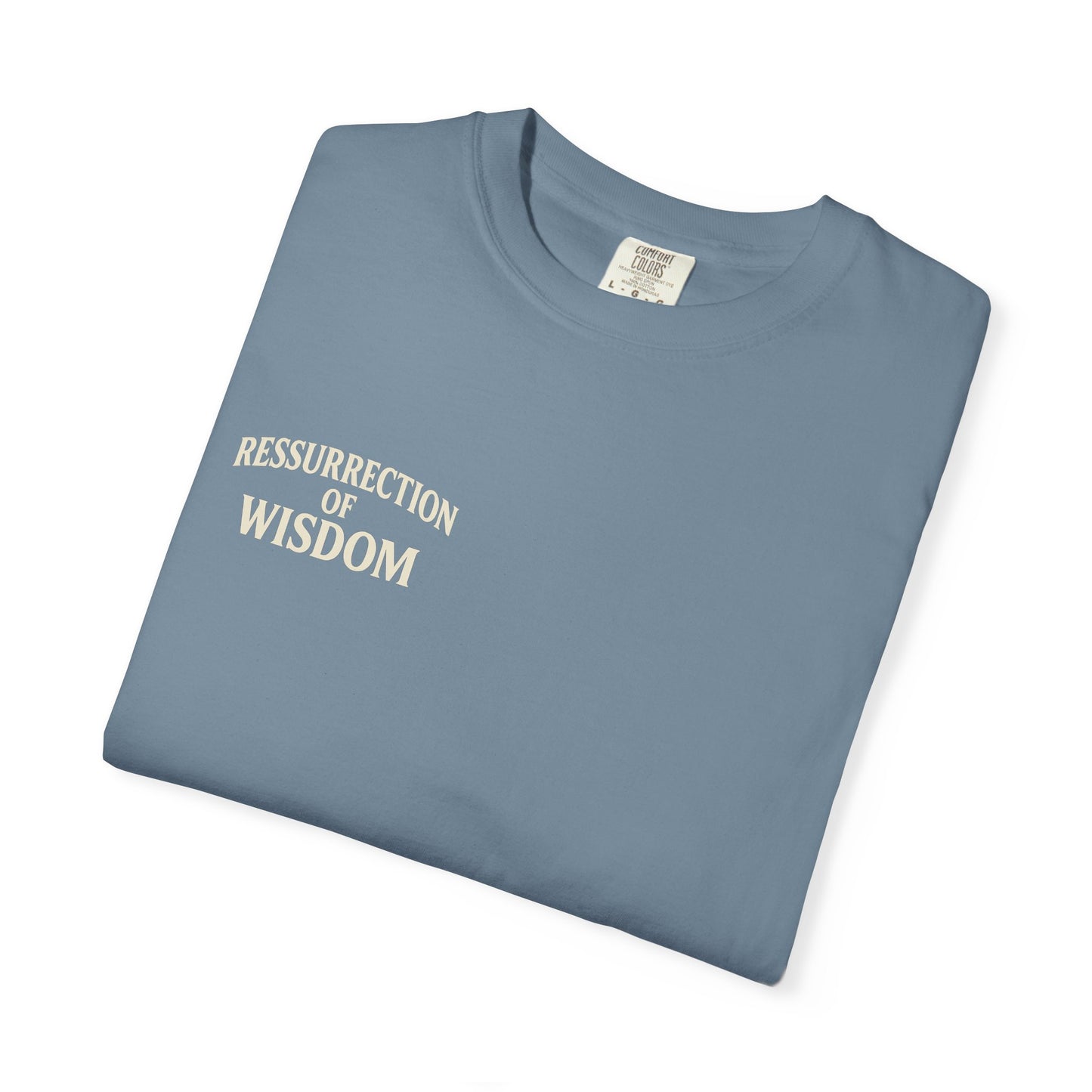 Unisex Garment-Dyed T-Shirt - ROW| Christ is My Firm Foundation