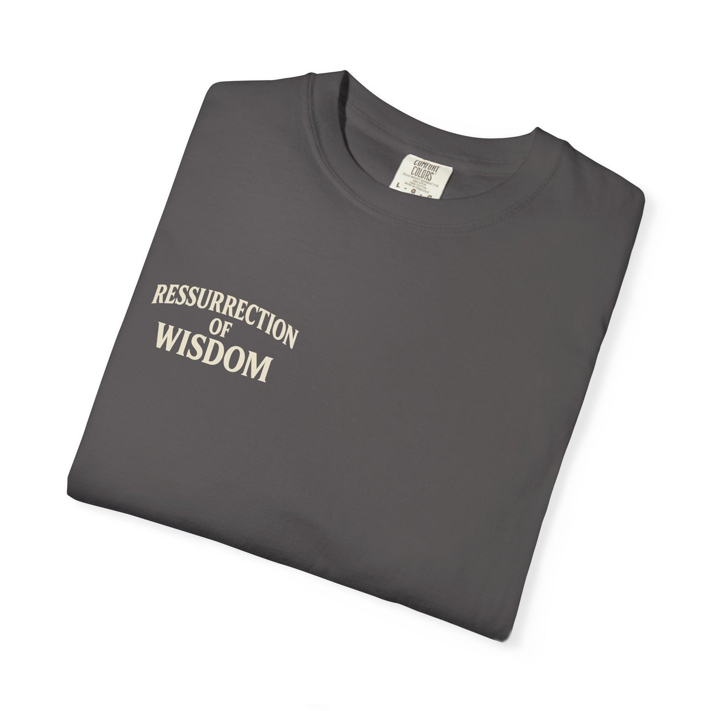 Unisex Garment-Dyed T-Shirt - ROW| Christ is My Firm Foundation