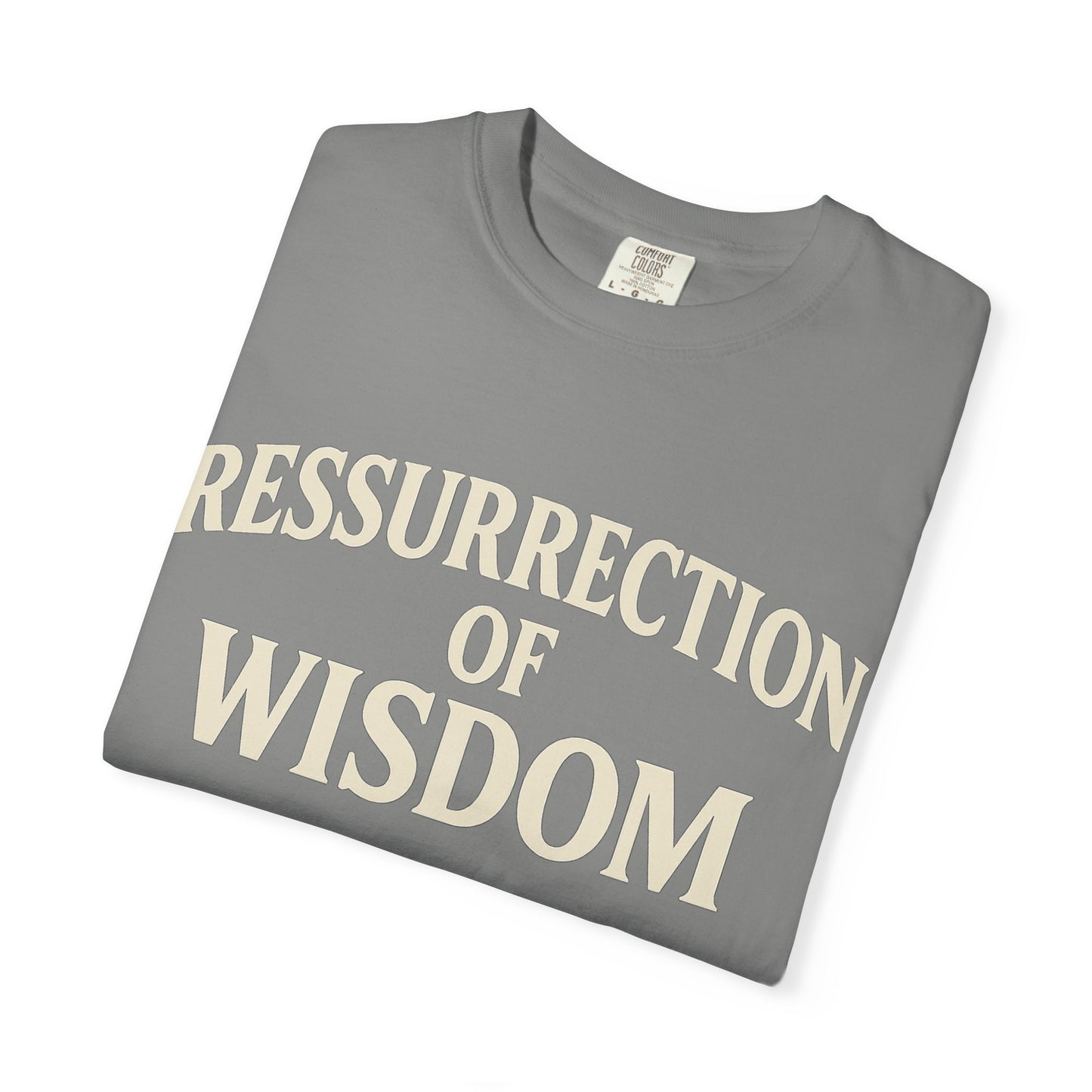 Unisex Garment-Dyed T-Shirt - 'Ressurrection of Wisdom' Casual Tee