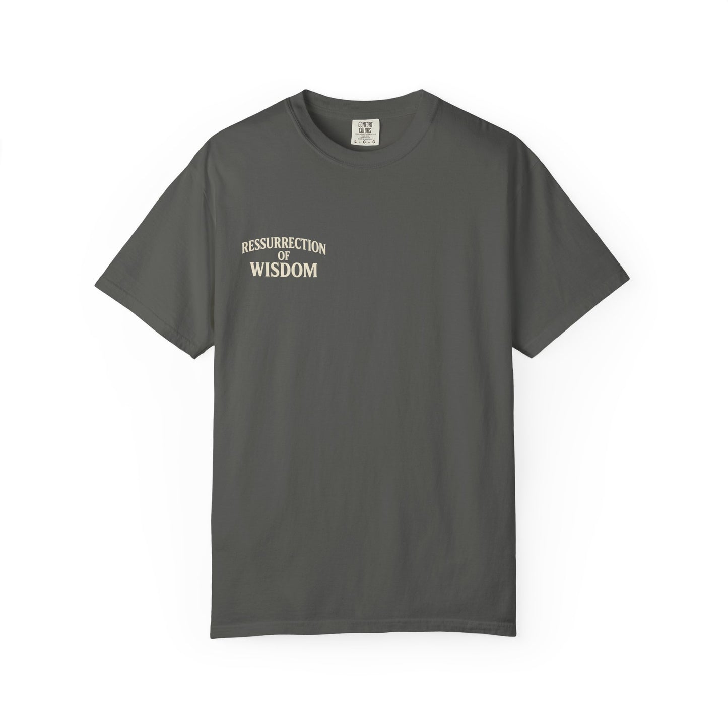 Unisex Garment-Dyed T-Shirt - Resurrection of Wisdom & Armor of God Design
