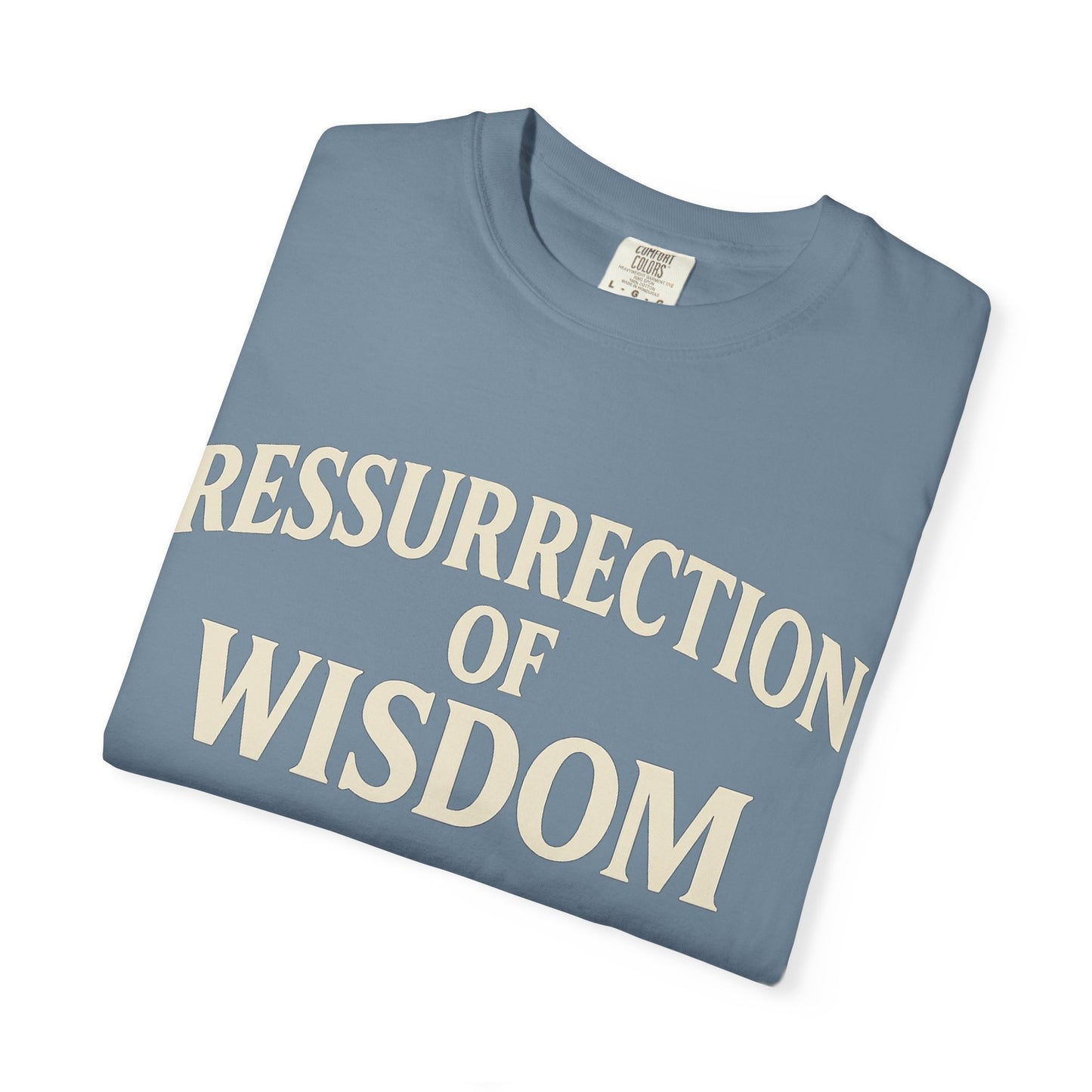 Unisex Garment-Dyed T-Shirt - 'Ressurrection of Wisdom' Casual Tee