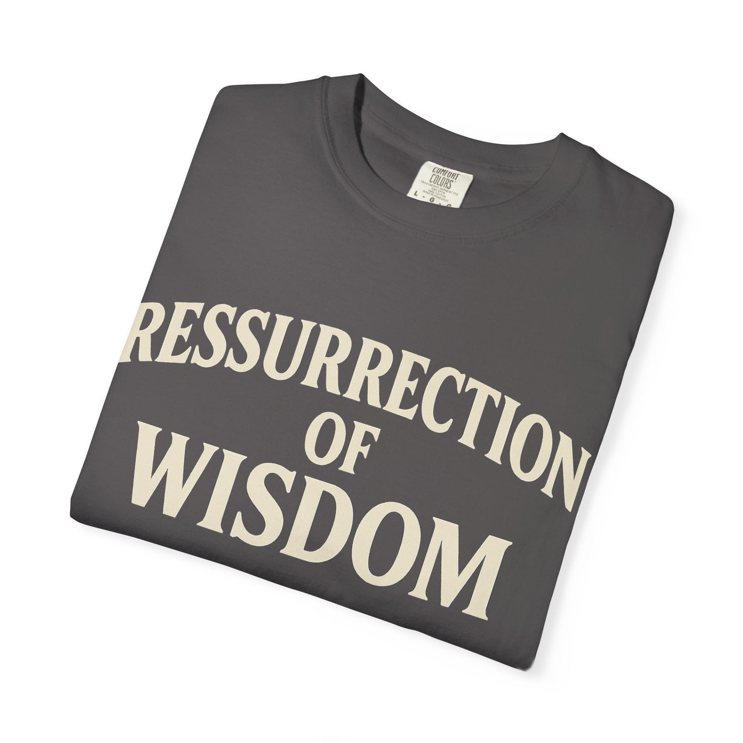 Unisex Garment-Dyed T-Shirt - 'Ressurrection of Wisdom' Casual Tee