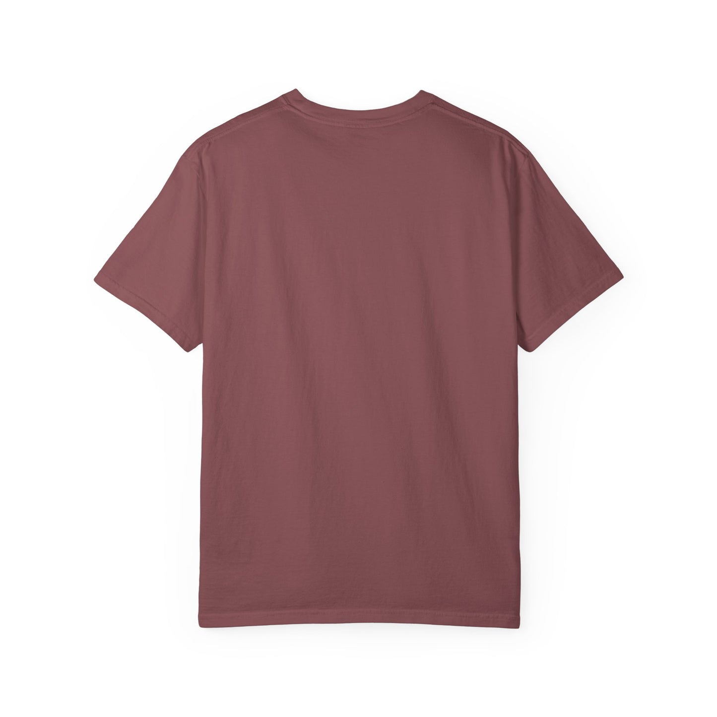 Unisex Garment-Dyed T-Shirt - 'Ressurrection of Wisdom' Casual Tee