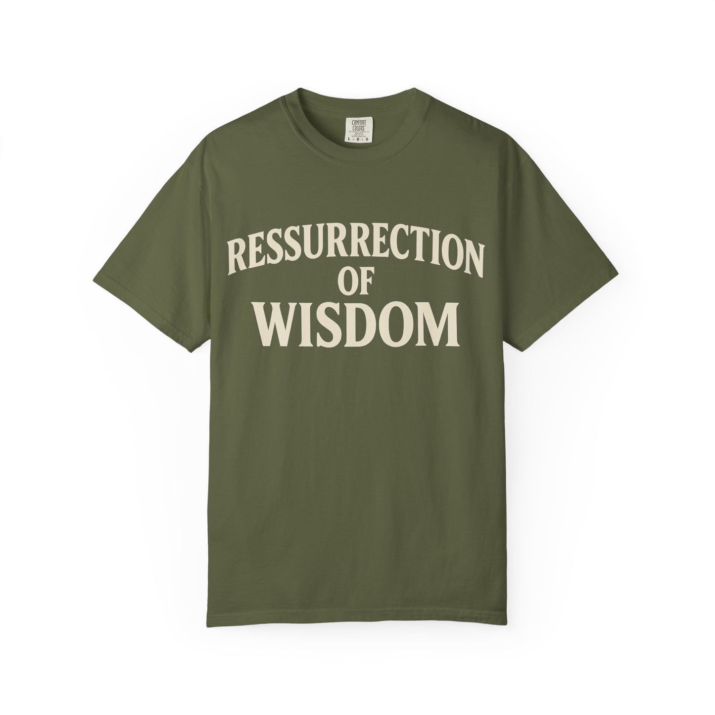 Unisex Garment-Dyed T-Shirt - 'Ressurrection of Wisdom' Casual Tee