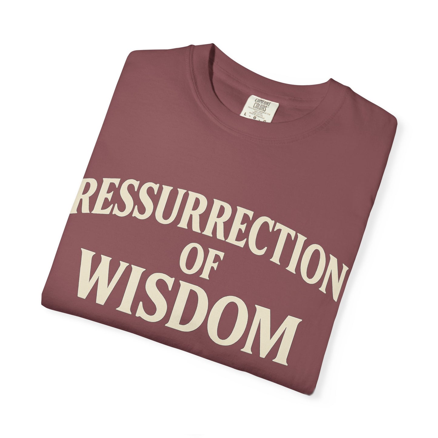 Unisex Garment-Dyed T-Shirt - 'Ressurrection of Wisdom' Casual Tee