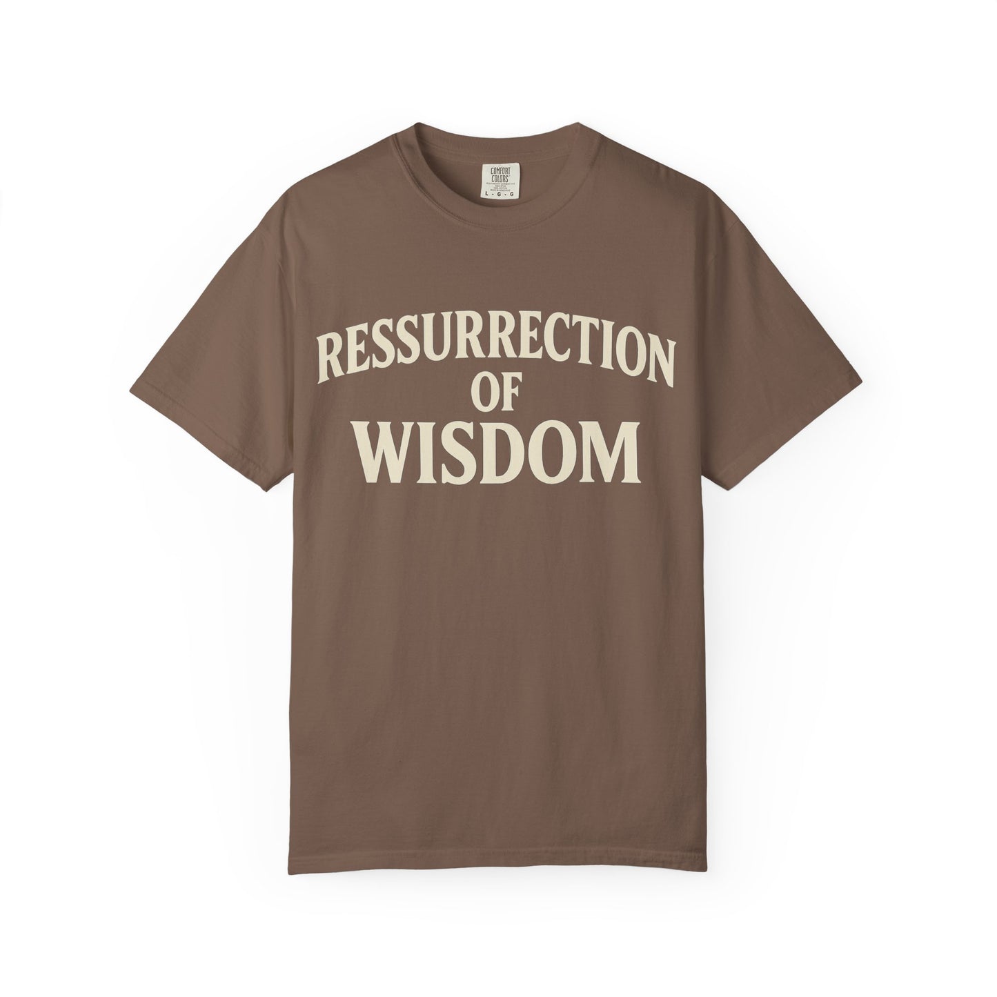 Unisex Garment-Dyed T-Shirt - 'Ressurrection of Wisdom' Casual Tee