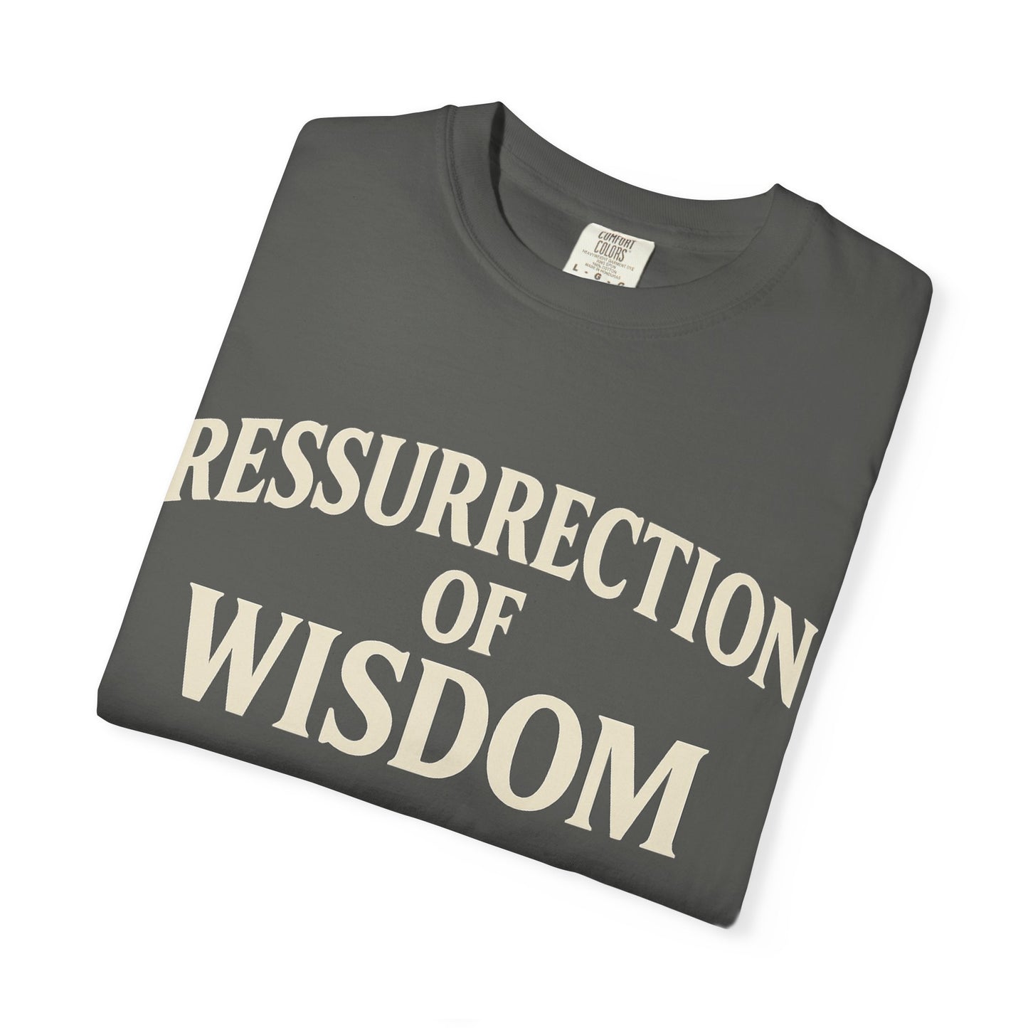 Unisex Garment-Dyed T-Shirt - 'Ressurrection of Wisdom' Casual Tee