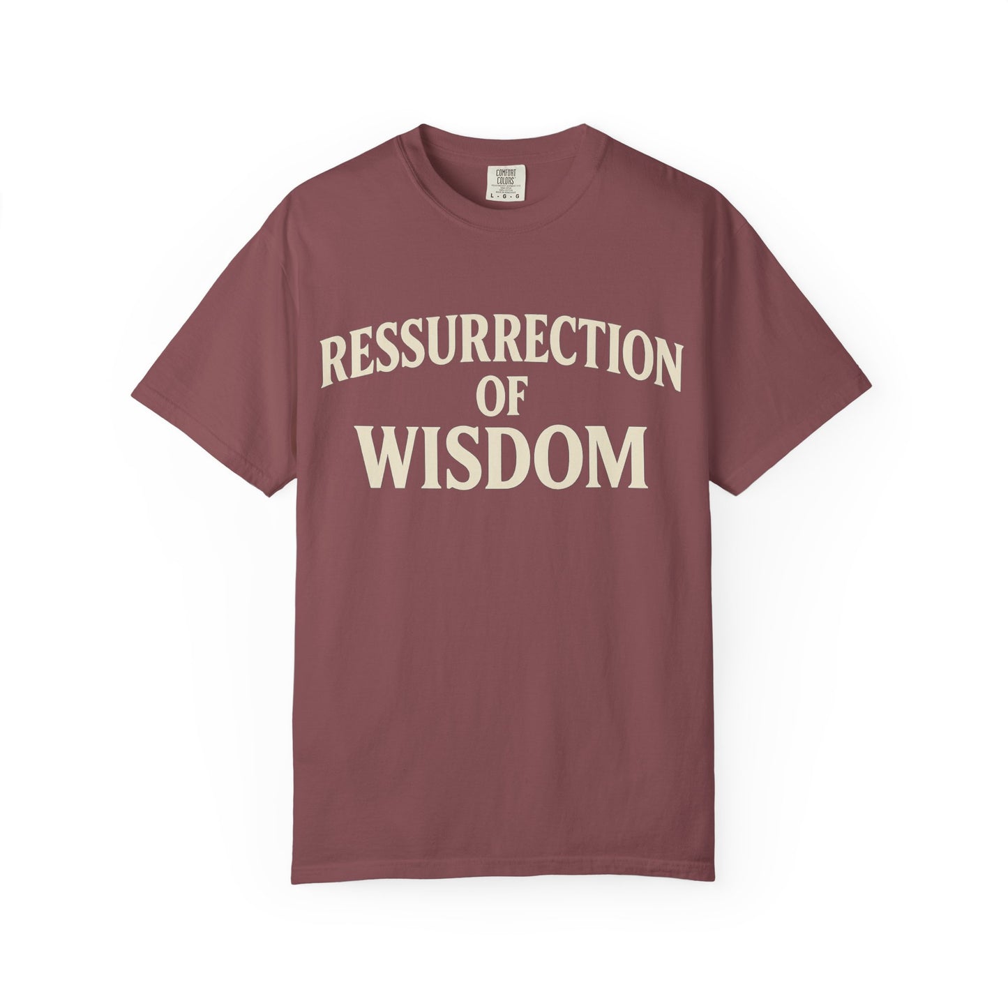Unisex Garment-Dyed T-Shirt - 'Ressurrection of Wisdom' Casual Tee