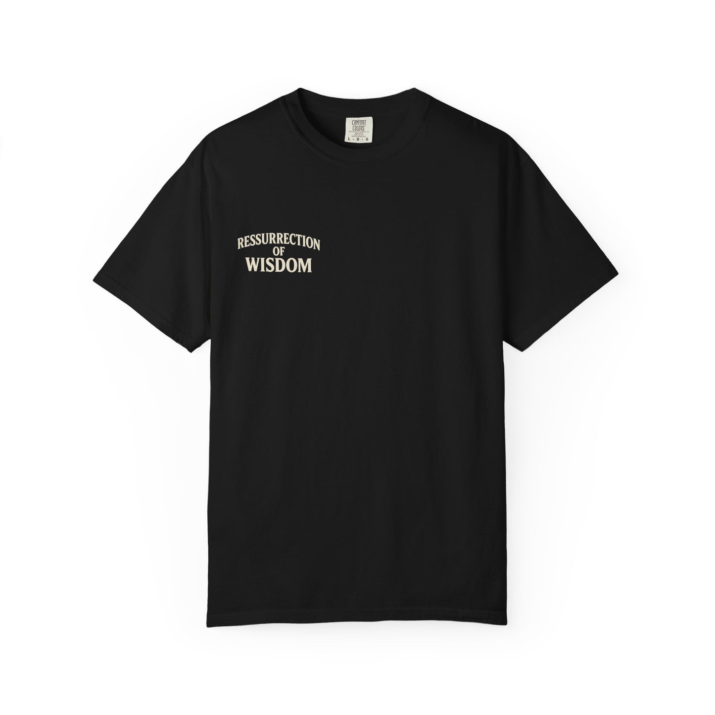Unisex Garment-Dyed T-Shirt - Resurrection of Wisdom & Armor of God Design