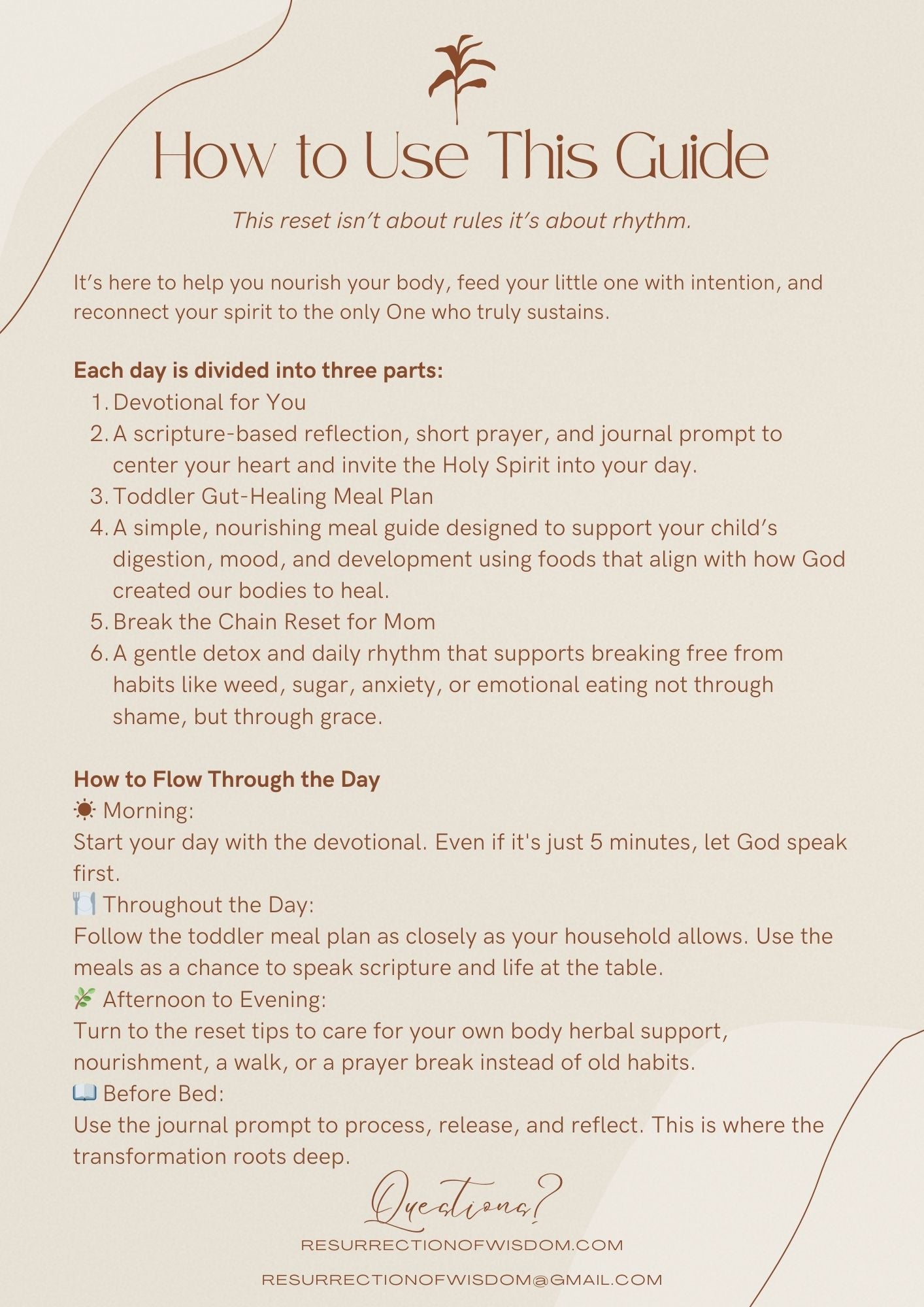 Wholesome Home Reset